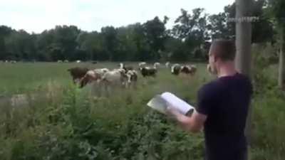 boost milk production