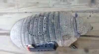 music player armadillo. +20 defense, +100 cumbias