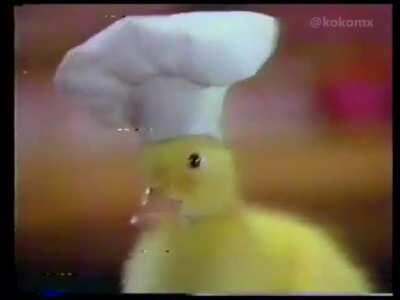 Tengo 16 años y me acuerdo de este pato