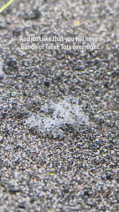 Sorry if this posts 6 times keeps failing to upload