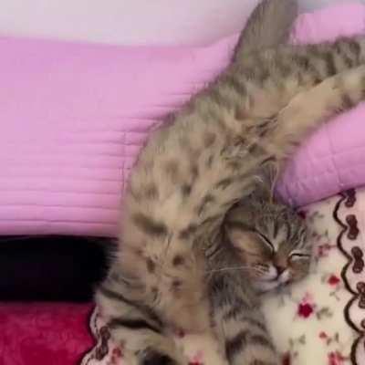 Günaydınn başkası olarak kendiniz hakkında dedikodu yapacak olsaydınız kendiniz hakkında ne söylerdiniz