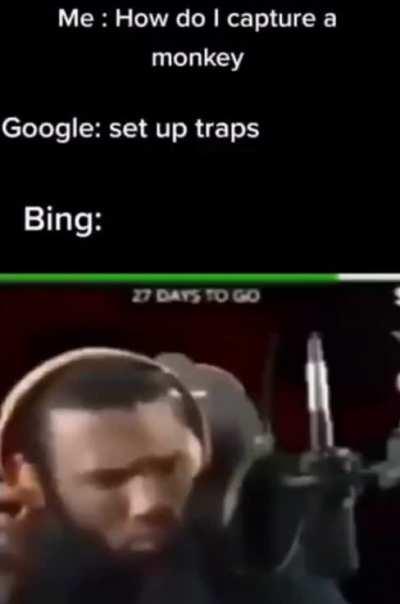 Moldy Confused Monkey