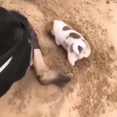 He is doing his part.