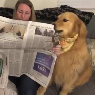 Human, don't read bad news!