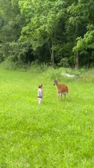 That day the kid learned that Life is not a Disney movie