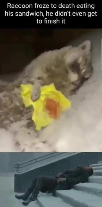 Pay respects to a fallen man.