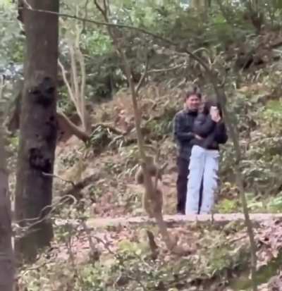 Monkey see, money do... walk on two, just like you and me too!