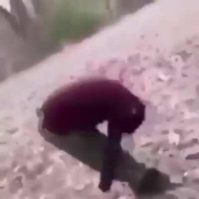 Сложился-разложился