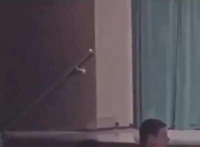 Doggo walked into the abyss