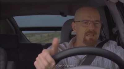 Caballo homosexual de las montañas😎