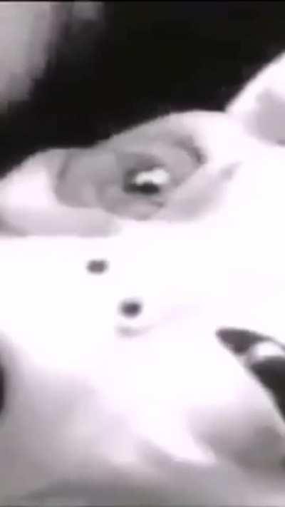 To the person that said Grey's black eyes are just 