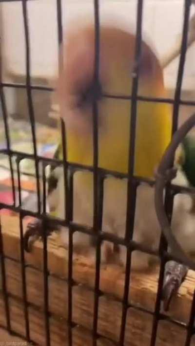 DeAtH By ELecTrOcUtiOn