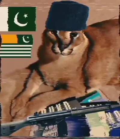 GREAT DAY FOR PAXSTAN, FLOPPA WILL BE A SHAHEED! TAKBIR!