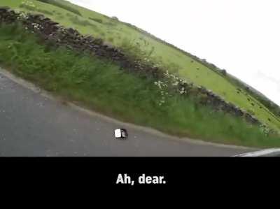 Calmest car flip ever. (G)old