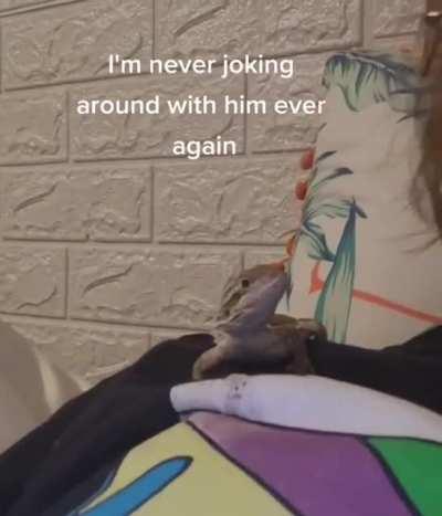 Mess with the lizard, you get the kiss-zard