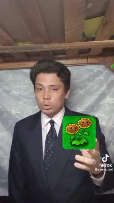 plants vs zombies explained by a random internet man