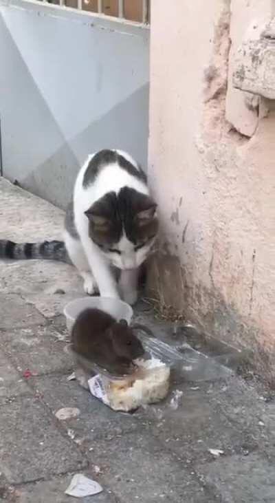 Do not disturb while eating