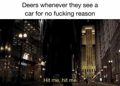 They’re all masochists