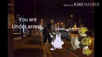 Big chungus rapes shrick then goes to jail