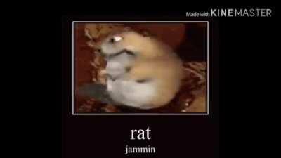 “sex obama gaming”