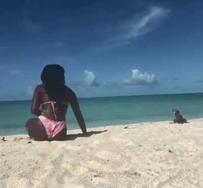 WCGW stretching on the beach.