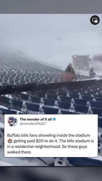 Least Insane Bills Fans