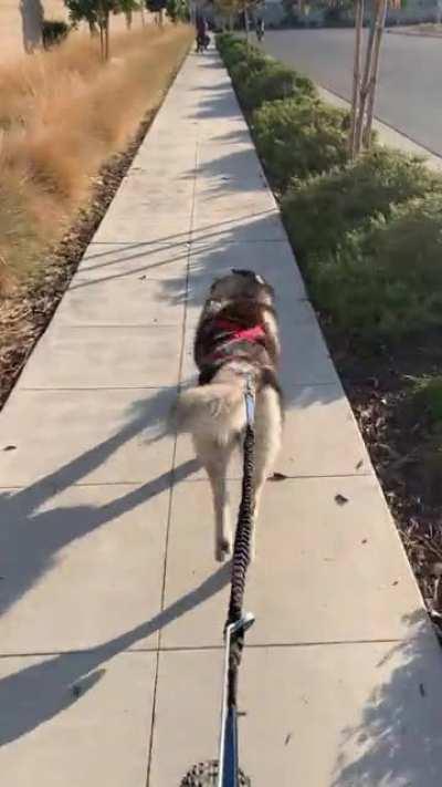 Can’t wait for the national forest trails to open up again!