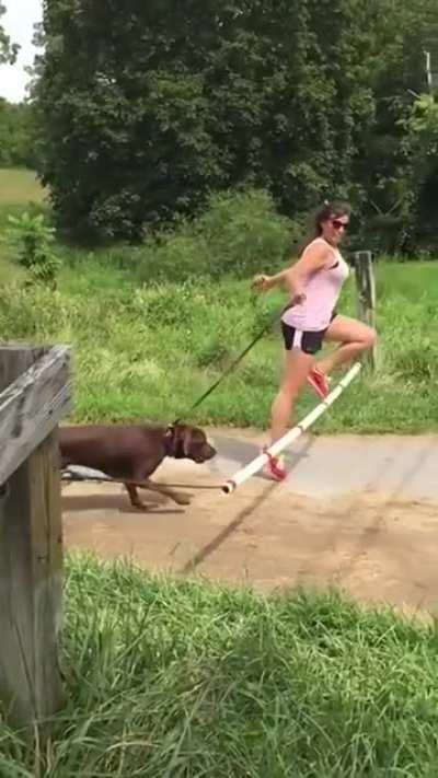 HMC while trying to jump the rope with the dog