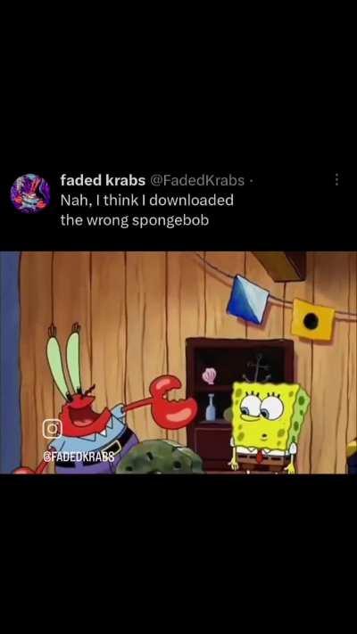Spongebob wild