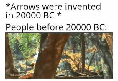 Bow and chicken 🐔