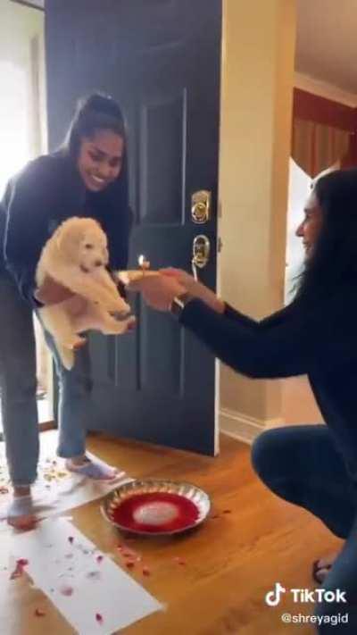 Wecoming a little pupper