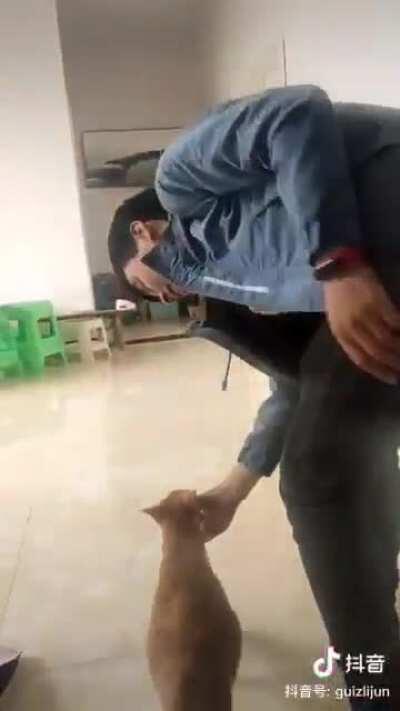 The cat is in labor and she wants her owner to be with her when she gives birth to her babies.