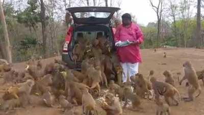 I think I downloaded the wrong Planet of the Apes