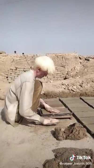Albinos making bricks