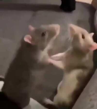 Leaked DLC for Total War: WARHAMMER 2