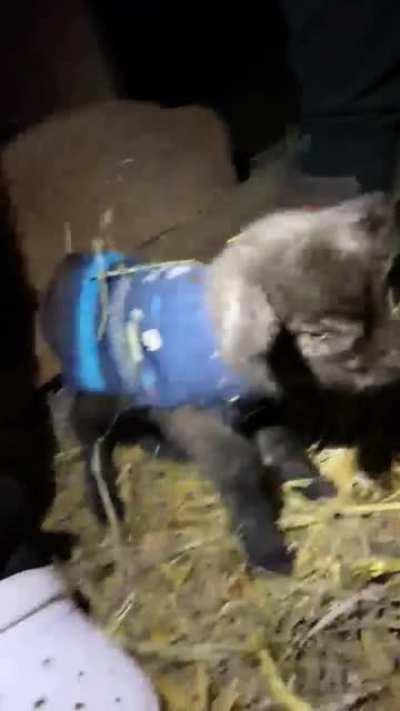 Sweaters for the new triplets.