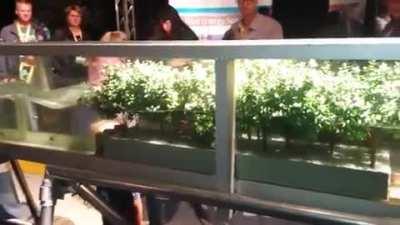 Scale model showing how mangrove forests protect the coast from wave erosion