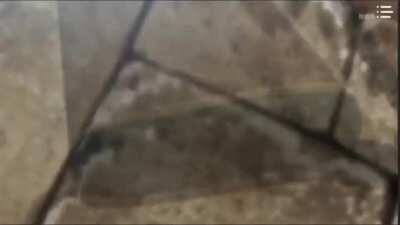 Marlowe's painful horny jail experience