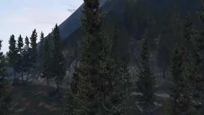 EXTREME woodland critter