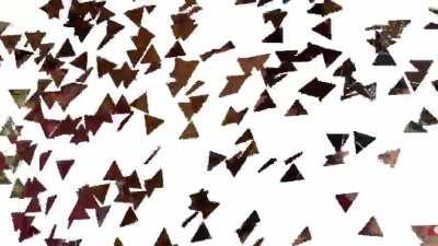 Danganronpa: Case Door