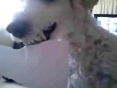 Me prestas ese papelito limon😳👉🏻👈🏻