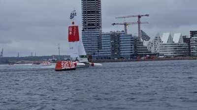 Got to spend the weekend watching these beasts up close