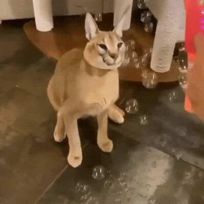 top 10 anime battles...