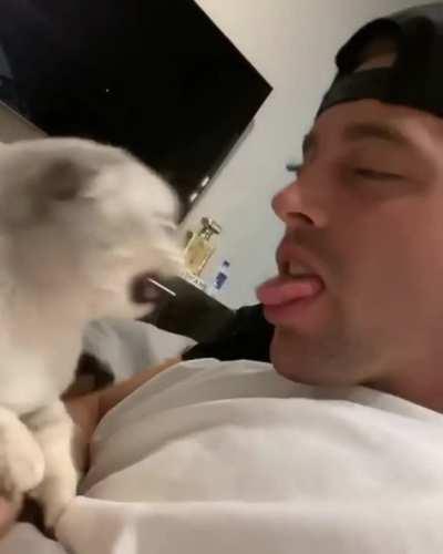 It Was At This Moment The Cat Realised, It Fucked Up.