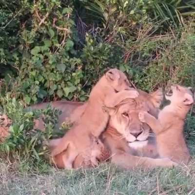 Mom… Mom… Moooom!