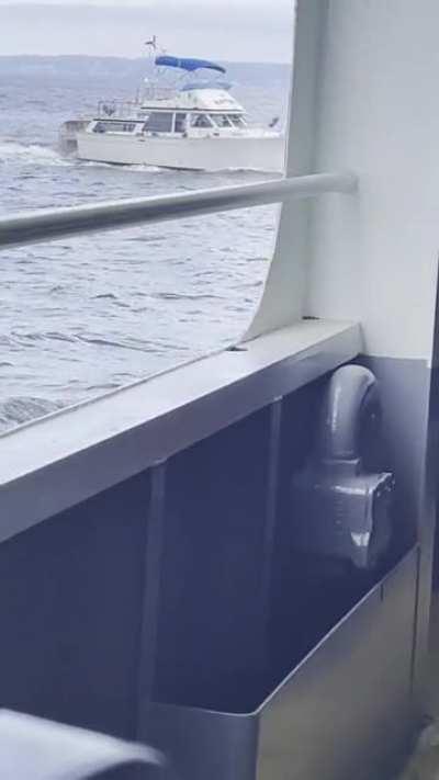 Boat tried to play chicken with a ferry.