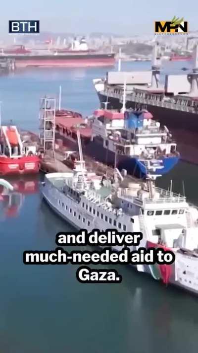 FBI whistleblower Coleen Rowley exposes Israel’s chokehold on American politics.