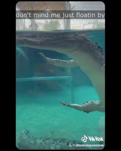 Ай белив ай кен флай