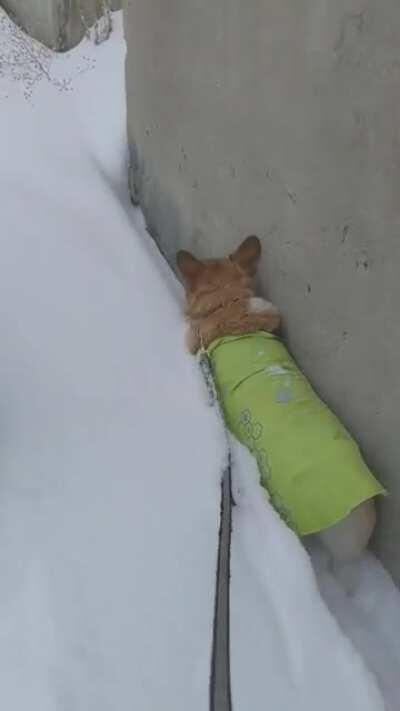 Path of Least Resistance