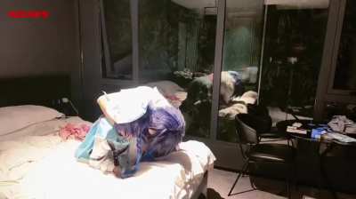 Venti x Venti (Genshin Impact) [qxsddofficial & xingli0622]